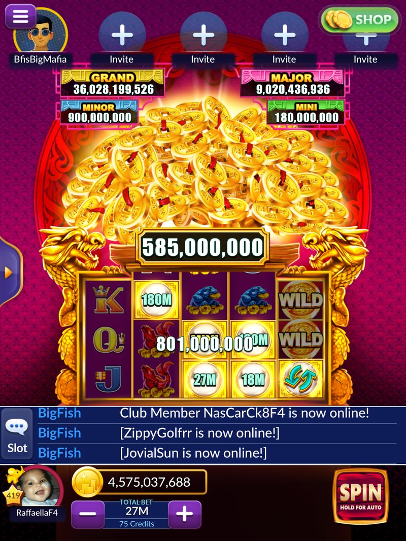 Guide to golden mister 777